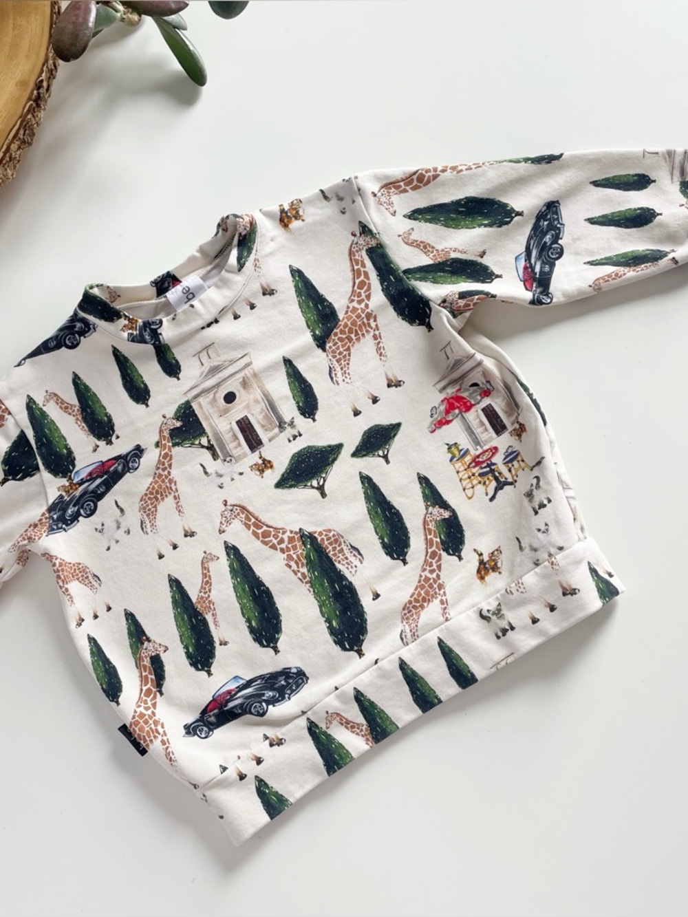 Hebe Organic Zoo Crewneck Sweatshirt | 2-4y
